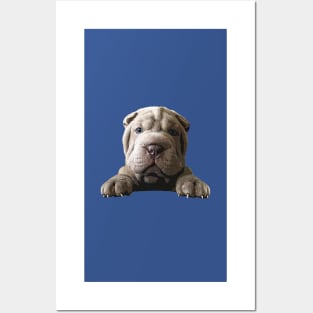 Shar Pei Cute Puppy Dog Posters and Art